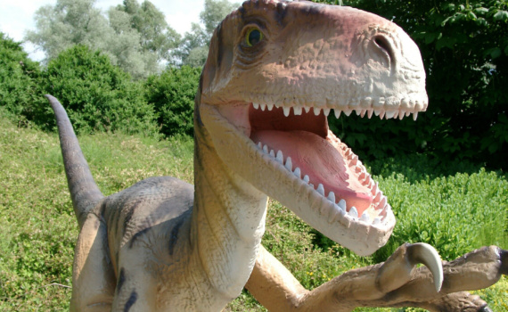 velociraptor-in-park-1405964-1600x1200