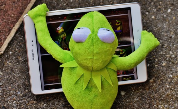 kermit-1704928_960_720