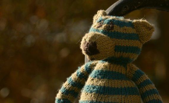 teddy-1955119_960_720 (1)