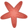 starfish-image